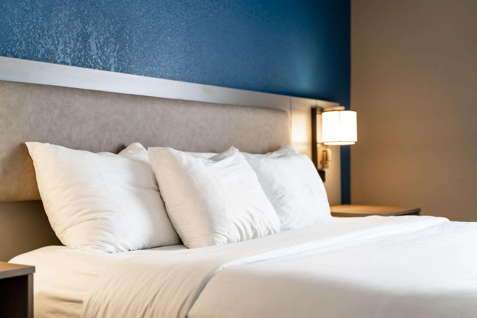 Comfort Suites Columbia Northeast - Fort Jackson Exteriér fotografie